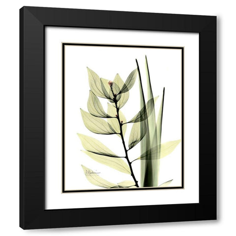 Leaf Composition Black Modern Wood Framed Art Print with Double Matting by Koetsier, Albert