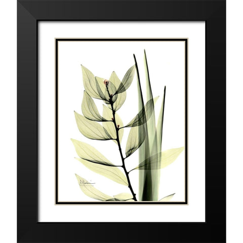 Leaf Composition Black Modern Wood Framed Art Print with Double Matting by Koetsier, Albert