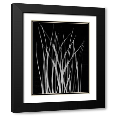 Grassy Heaven Black Modern Wood Framed Art Print with Double Matting by Koetsier, Albert