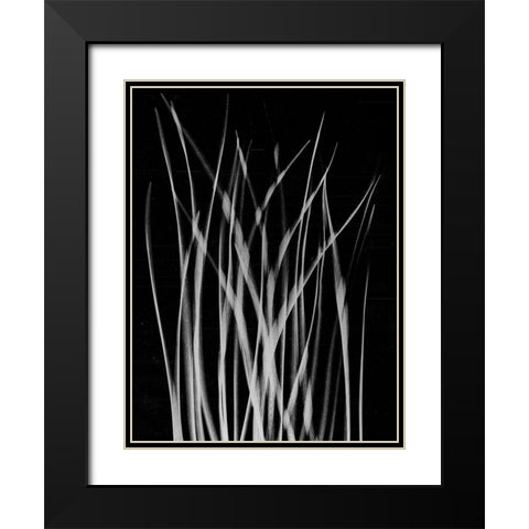 Grassy Heaven Black Modern Wood Framed Art Print with Double Matting by Koetsier, Albert