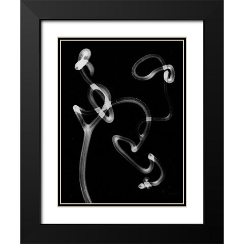 Tendril Black Modern Wood Framed Art Print with Double Matting by Koetsier, Albert