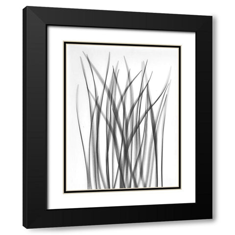 Flower Leaf Black Modern Wood Framed Art Print with Double Matting by Koetsier, Albert