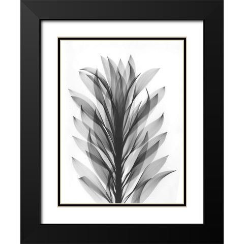 Song Of India Black Modern Wood Framed Art Print with Double Matting by Koetsier, Albert