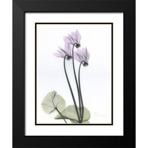 Cyclamen Black Modern Wood Framed Art Print with Double Matting by Koetsier, Albert