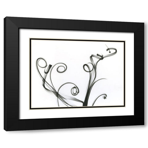 Tillandsia Black Modern Wood Framed Art Print with Double Matting by Koetsier, Albert