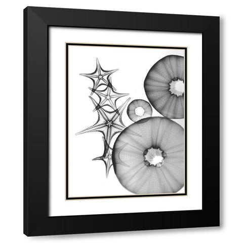 Universe Of Pythagoras Black Modern Wood Framed Art Print with Double Matting by Koetsier, Albert