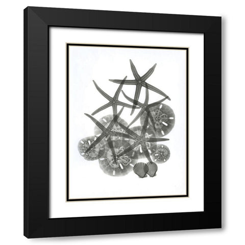 Sea Collection Black Modern Wood Framed Art Print with Double Matting by Koetsier, Albert