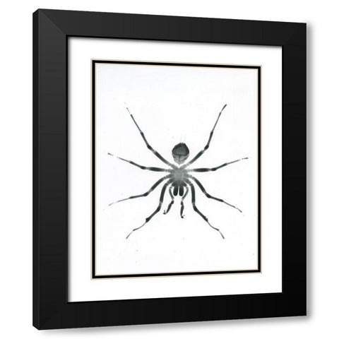 Our Friendly Tarantula Black Modern Wood Framed Art Print with Double Matting by Koetsier, Albert