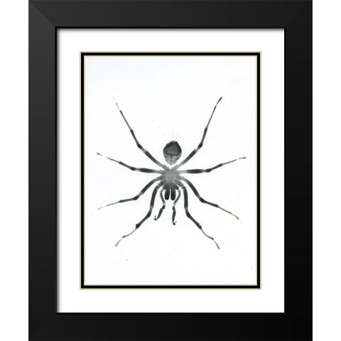 Our Friendly Tarantula Black Modern Wood Framed Art Print with Double Matting by Koetsier, Albert