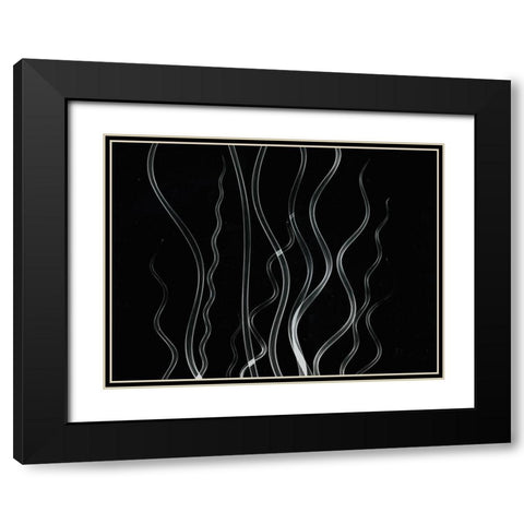 Corkscrew Rush Black Modern Wood Framed Art Print with Double Matting by Koetsier, Albert