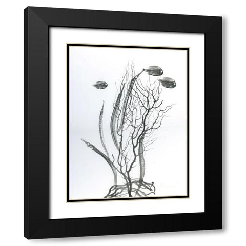 Sea Bottom Black Modern Wood Framed Art Print with Double Matting by Koetsier, Albert