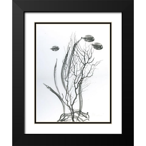 Sea Bottom Black Modern Wood Framed Art Print with Double Matting by Koetsier, Albert