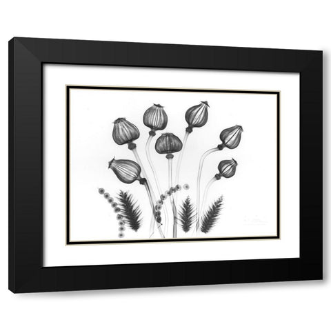 Seed Gods Black Modern Wood Framed Art Print with Double Matting by Koetsier, Albert