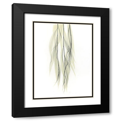 Weeping Willow Black Modern Wood Framed Art Print with Double Matting by Koetsier, Albert