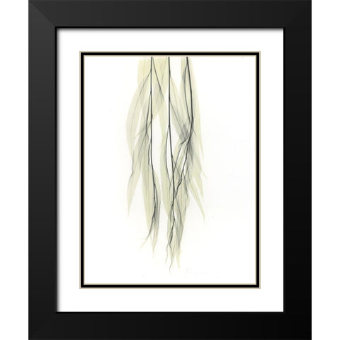 Weeping Willow Black Modern Wood Framed Art Print with Double Matting by Koetsier, Albert