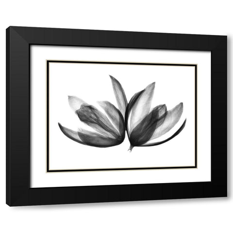 Prehistoric Eggs Black Modern Wood Framed Art Print with Double Matting by Koetsier, Albert