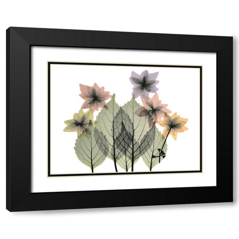 Hiding Lovelies Black Modern Wood Framed Art Print with Double Matting by Koetsier, Albert