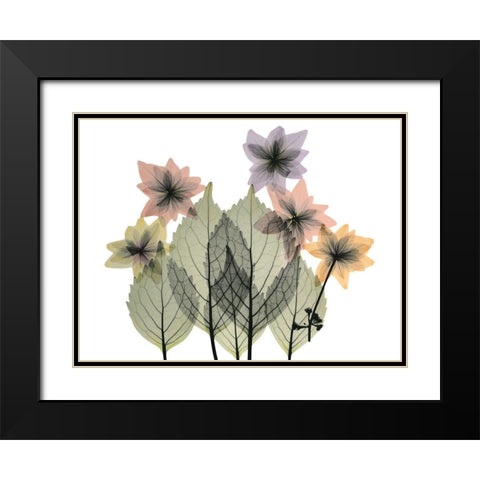 Hiding Lovelies Black Modern Wood Framed Art Print with Double Matting by Koetsier, Albert