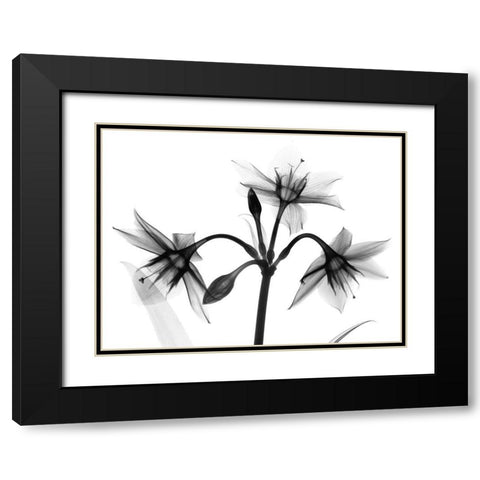 Sadened Trio Black Modern Wood Framed Art Print with Double Matting by Koetsier, Albert