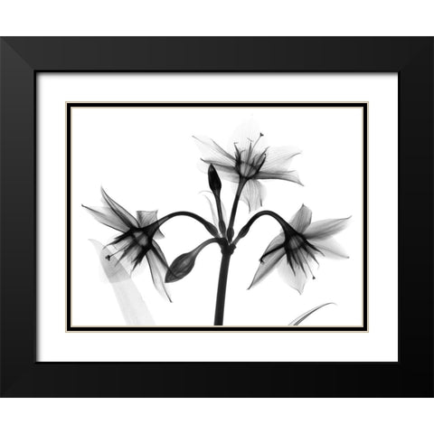 Sadened Trio Black Modern Wood Framed Art Print with Double Matting by Koetsier, Albert