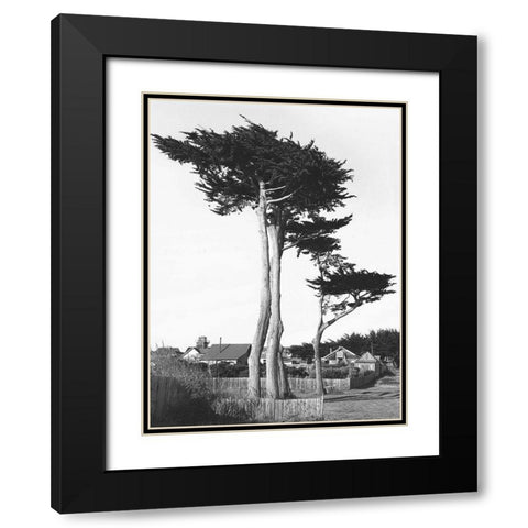 Looking Over Black Modern Wood Framed Art Print with Double Matting by Koetsier, Albert