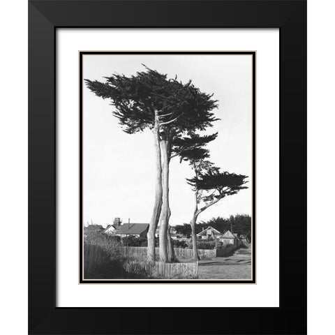 Looking Over Black Modern Wood Framed Art Print with Double Matting by Koetsier, Albert