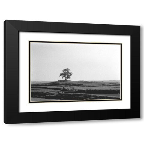 Lonely Field Black Modern Wood Framed Art Print with Double Matting by Koetsier, Albert