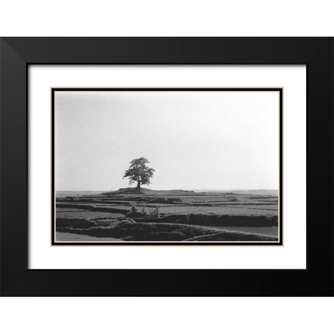 Lonely Field Black Modern Wood Framed Art Print with Double Matting by Koetsier, Albert