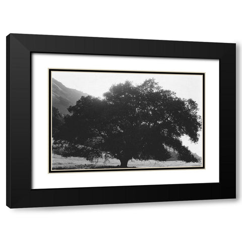 Bush Breeze Black Modern Wood Framed Art Print with Double Matting by Koetsier, Albert