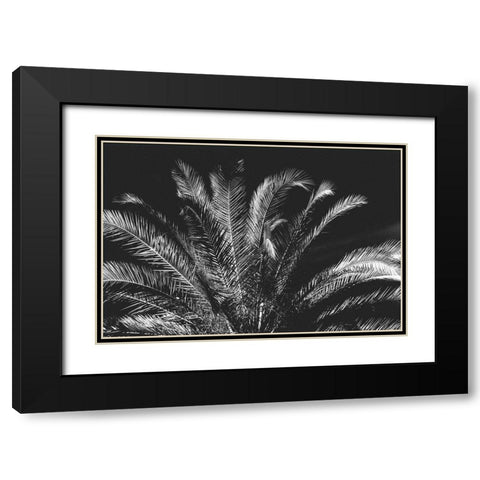 Tropical Night Black Modern Wood Framed Art Print with Double Matting by Koetsier, Albert