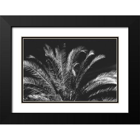 Tropical Night Black Modern Wood Framed Art Print with Double Matting by Koetsier, Albert