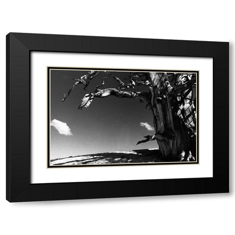 Curved World Black Modern Wood Framed Art Print with Double Matting by Koetsier, Albert