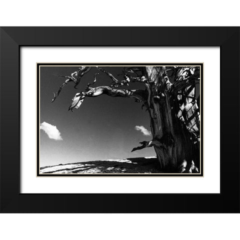 Curved World Black Modern Wood Framed Art Print with Double Matting by Koetsier, Albert