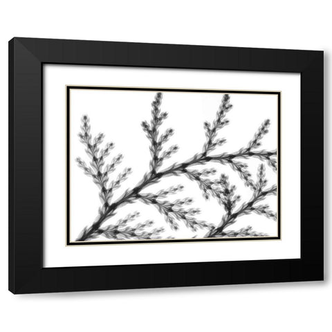 Natural Reach Black Modern Wood Framed Art Print with Double Matting by Koetsier, Albert