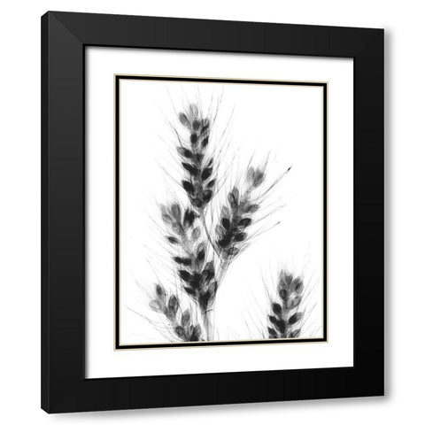 Bunches Of Oats Black Modern Wood Framed Art Print with Double Matting by Koetsier, Albert