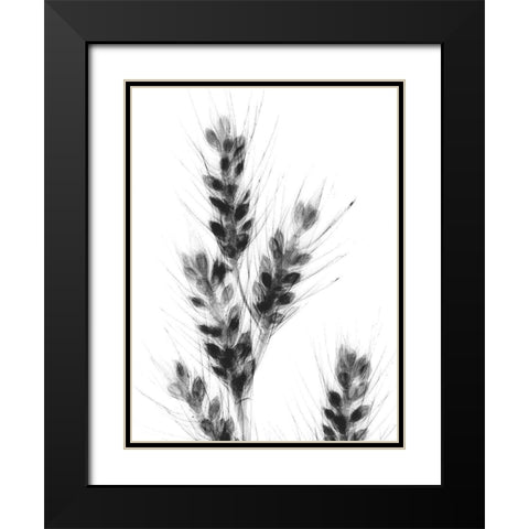 Bunches Of Oats Black Modern Wood Framed Art Print with Double Matting by Koetsier, Albert