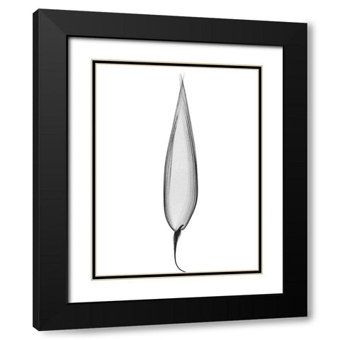 Burning Desires Black Modern Wood Framed Art Print with Double Matting by Koetsier, Albert