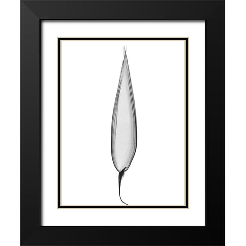 Burning Desires Black Modern Wood Framed Art Print with Double Matting by Koetsier, Albert