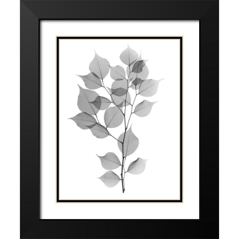 Myrtle Tree L182 Black Modern Wood Framed Art Print with Double Matting by Koetsier, Albert