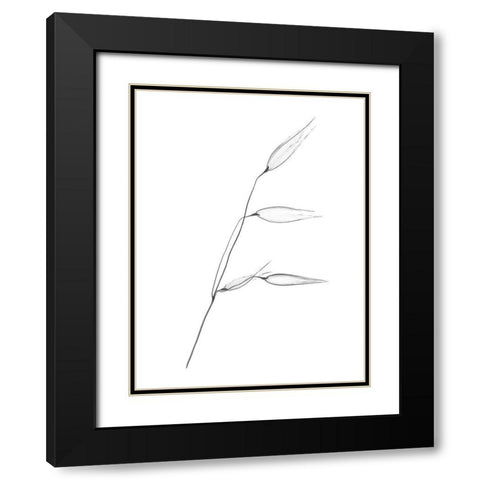 Wheat Black Modern Wood Framed Art Print with Double Matting by Koetsier, Albert