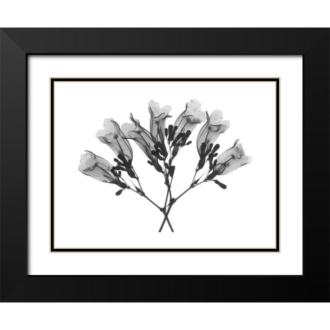 Amethyst Vine Black Modern Wood Framed Art Print with Double Matting by Koetsier, Albert