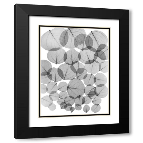 Baybean Leaves Black Modern Wood Framed Art Print with Double Matting by Koetsier, Albert