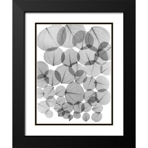 Baybean Leaves Black Modern Wood Framed Art Print with Double Matting by Koetsier, Albert