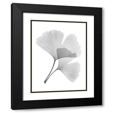 Ginko Pair Black Modern Wood Framed Art Print with Double Matting by Koetsier, Albert