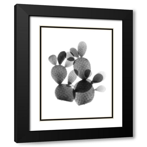 Cactus Bunch Black Modern Wood Framed Art Print with Double Matting by Koetsier, Albert