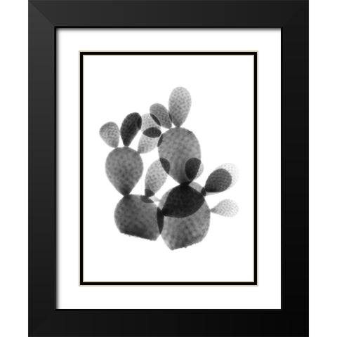 Cactus Bunch Black Modern Wood Framed Art Print with Double Matting by Koetsier, Albert