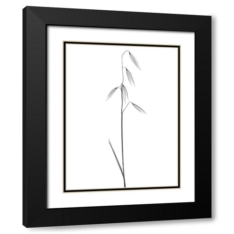 Low Hanging Thoughts Black Modern Wood Framed Art Print with Double Matting by Koetsier, Albert