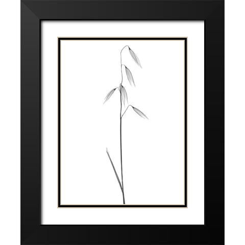 Low Hanging Thoughts Black Modern Wood Framed Art Print with Double Matting by Koetsier, Albert