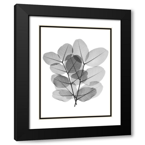 Leafy Bunch Black Modern Wood Framed Art Print with Double Matting by Koetsier, Albert