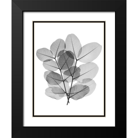 Leafy Bunch Black Modern Wood Framed Art Print with Double Matting by Koetsier, Albert